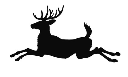 Similar image 21513201