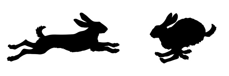 Similar image 21513202