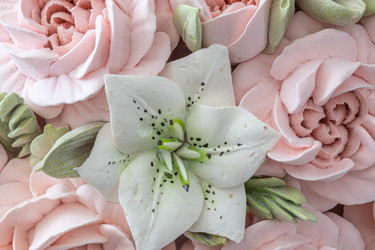 Similar image 21513539