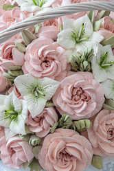 Similar image 21513541