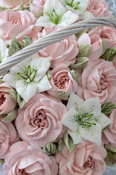 Similar image 21513542