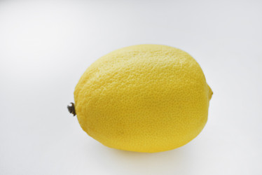 Similar image 21513216