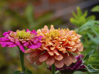 Similar image 21513219