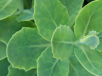 Similar image 21513220