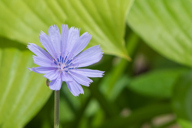 Similar image 21513221