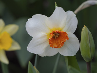 Similar image 21513222