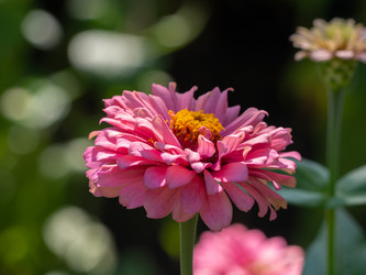 Similar image 21513223