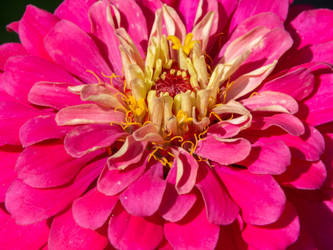 Similar image 21513225