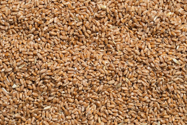 Similar image 21513227