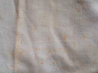 Similar image 21513228