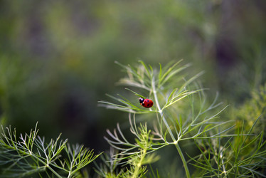 Similar image 21513241