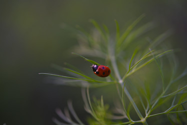 Similar image 21513242