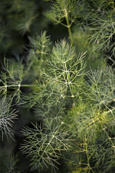 Similar image 21513243