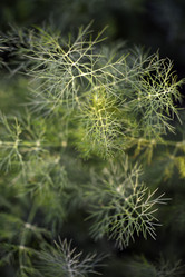 Similar image 21513245