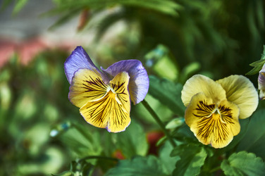 Similar image 21514065