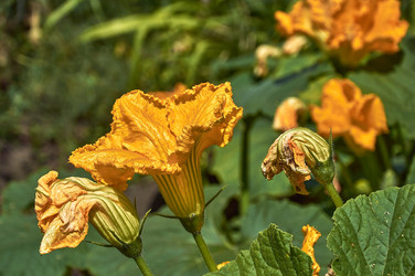 Similar image 21514067