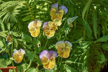 Similar image 21514069