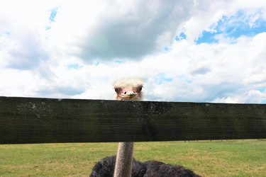 Similar image 21518098