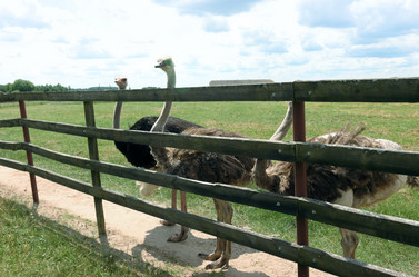 Similar image 21518229