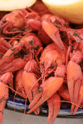 Similar image 21513316