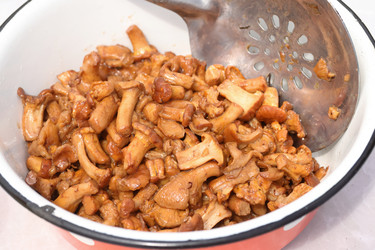 Similar image 21518237