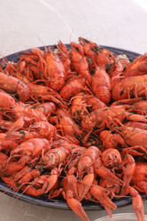 Similar image 21513320