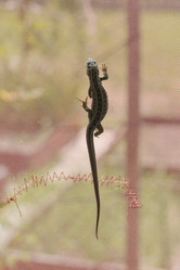 Similar image 21513325