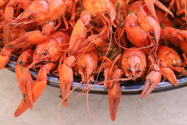 Similar image 21513327