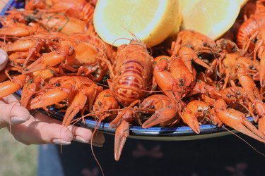 Similar image 21513561