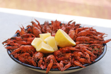 Similar image 21513562