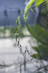 Similar image 21513330