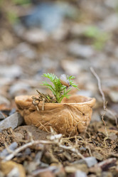 Similar image 21513331