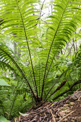 Similar image 21513332