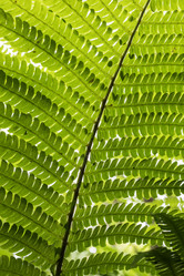 Similar image 21513333