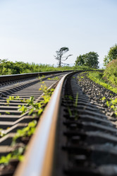 Similar image 21513334