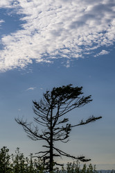 Similar image 21513335