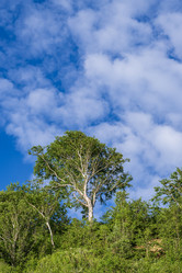 Similar image 21513337