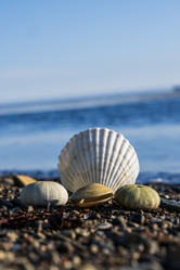 Similar image 21513338