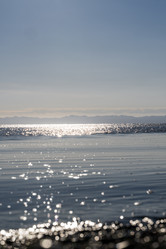 Similar image 21513339