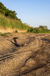 Similar image 21514402