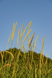 Similar image 21514403