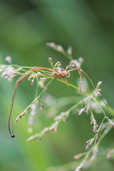 Similar image 21514071