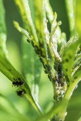 Similar image 21514075