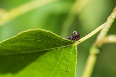 Similar image 21514077