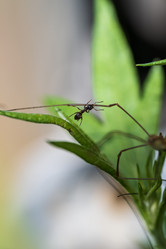 Similar image 21514079