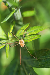 Similar image 21514404