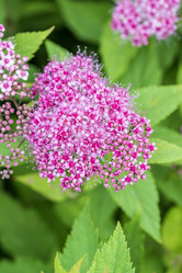 Similar image 21514405