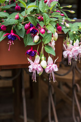 Similar image 21513573