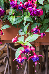 Similar image 21513574