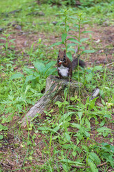 Similar image 21513359